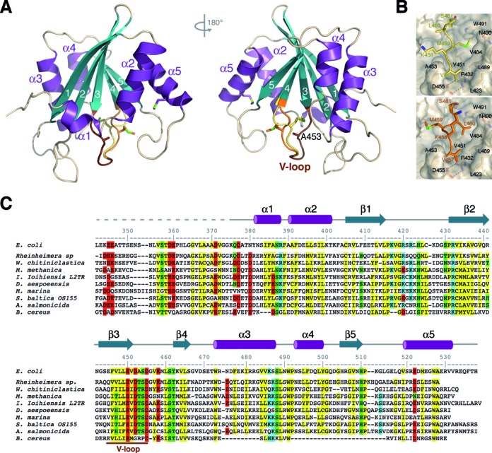 Figure 2.