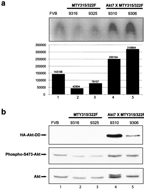 FIG. 6