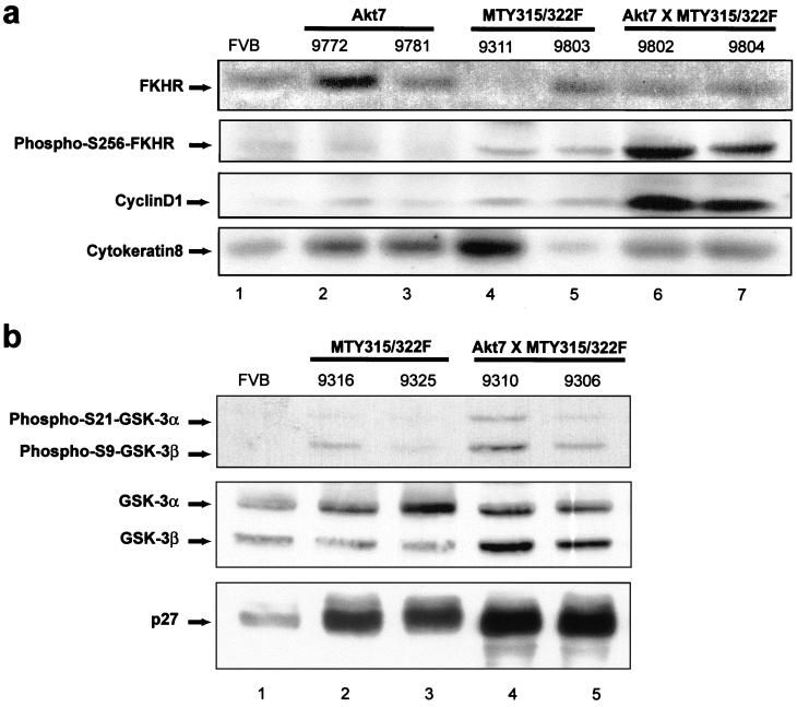 FIG. 7