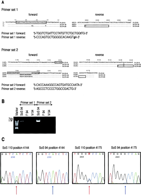 Figure  2