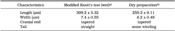 graphic file with name kjp-36-235-i001.jpg