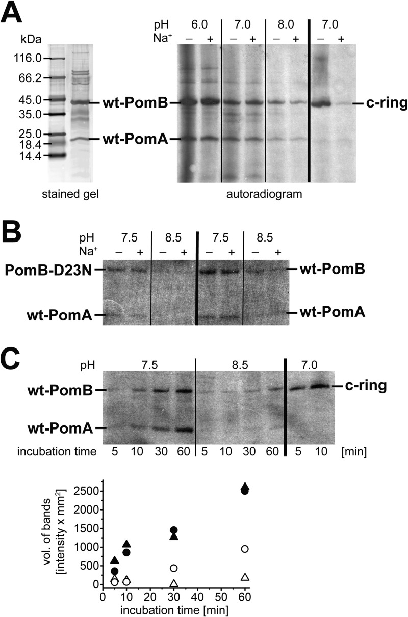 Fig 9