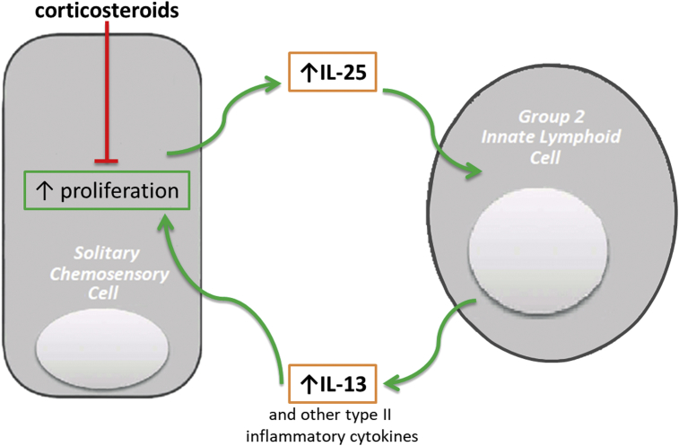 Figure 3