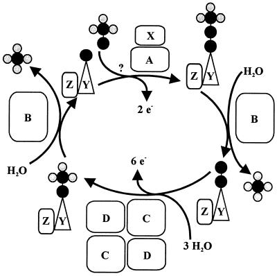 FIG. 5