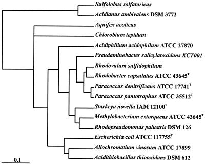 FIG. 1