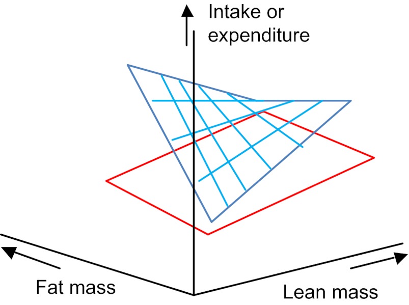 Fig. 9.