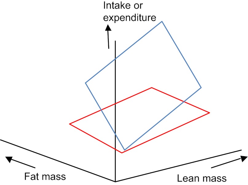 Fig. 8.