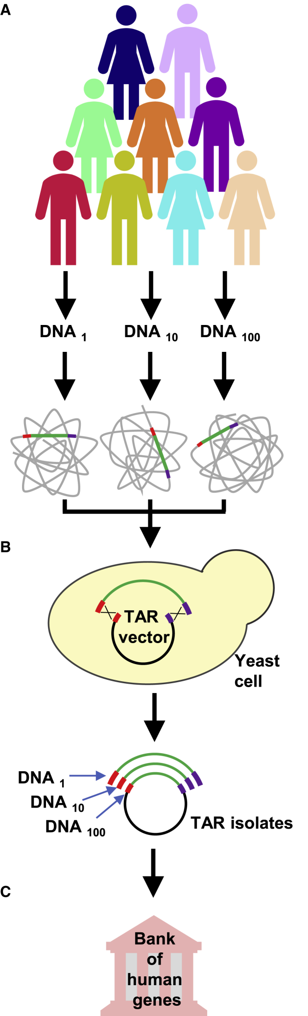 Figure 1