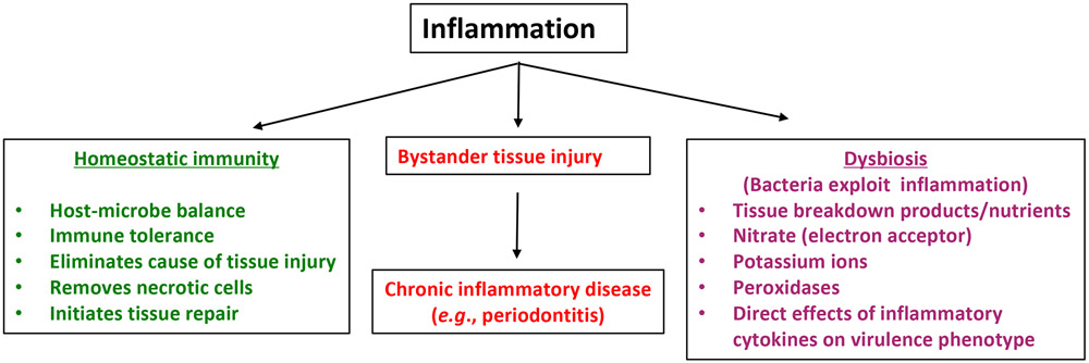 Figure 4: