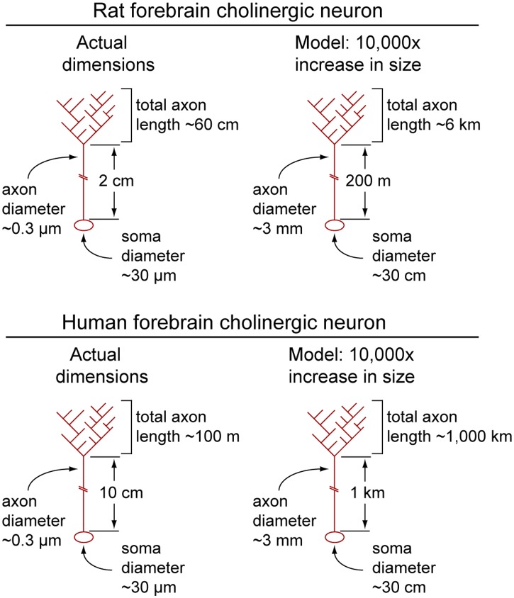 Figure 7.