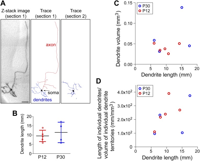 Figure 2—figure supplement 1.