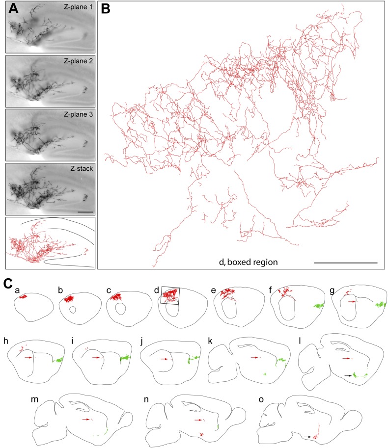 Figure 2.