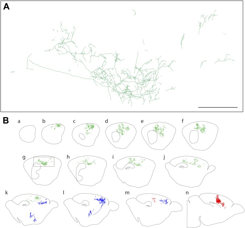 Figure 3.