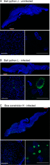 FIG 6