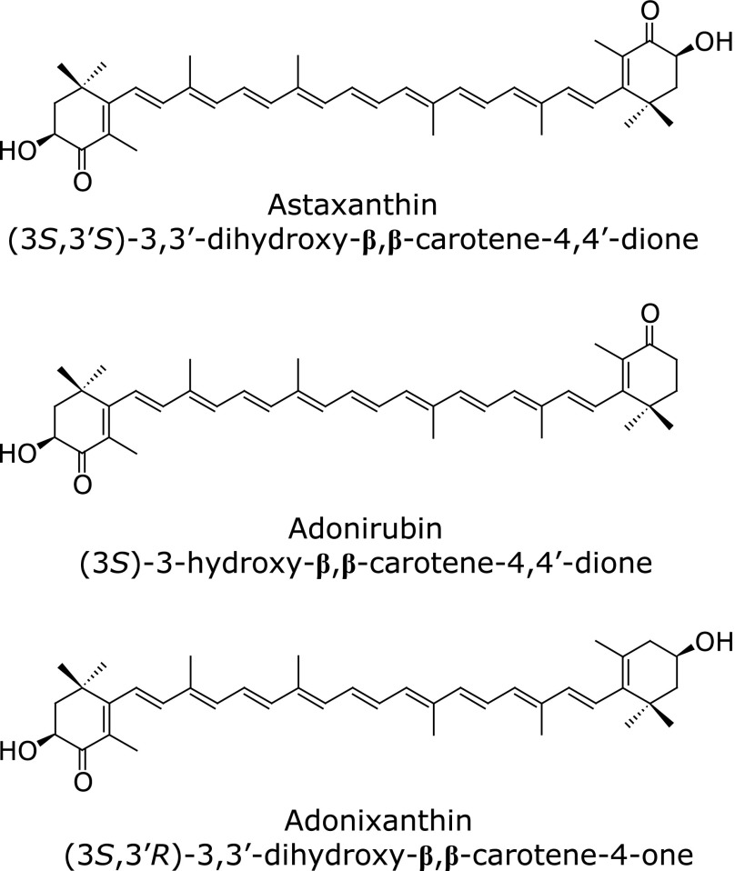 Fig. 2