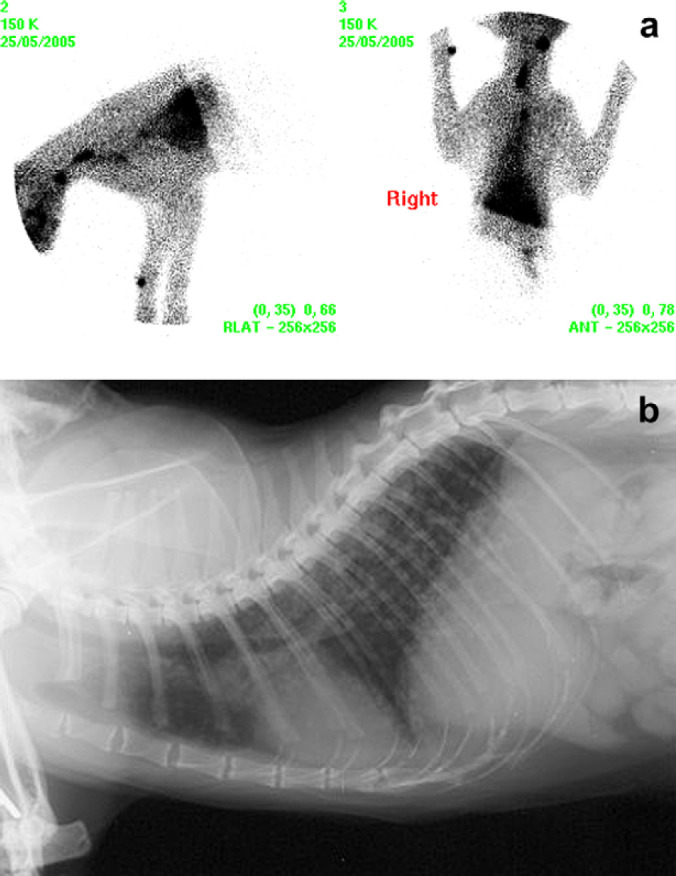 Fig 5.