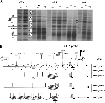 FIG. 2.