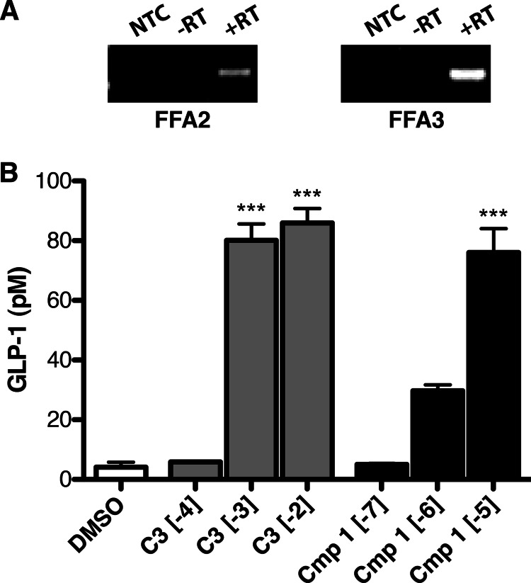 FIGURE 11.