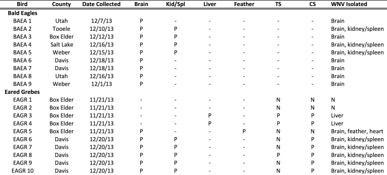 Table 1.