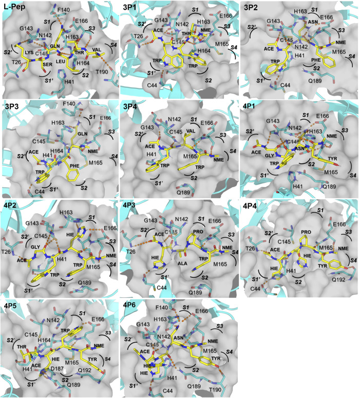 FIGURE 4