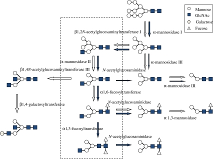 Fig. 3