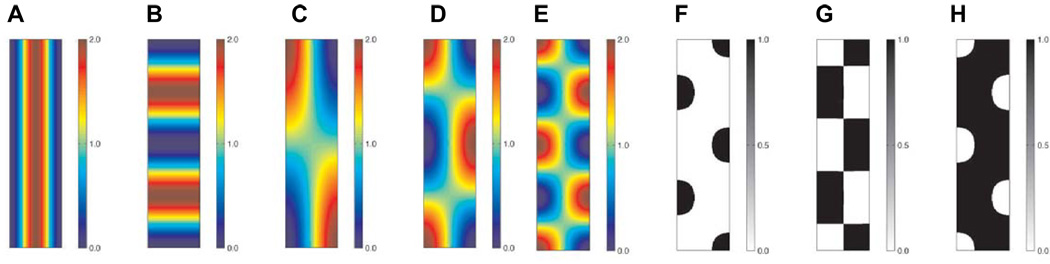 Fig. 7