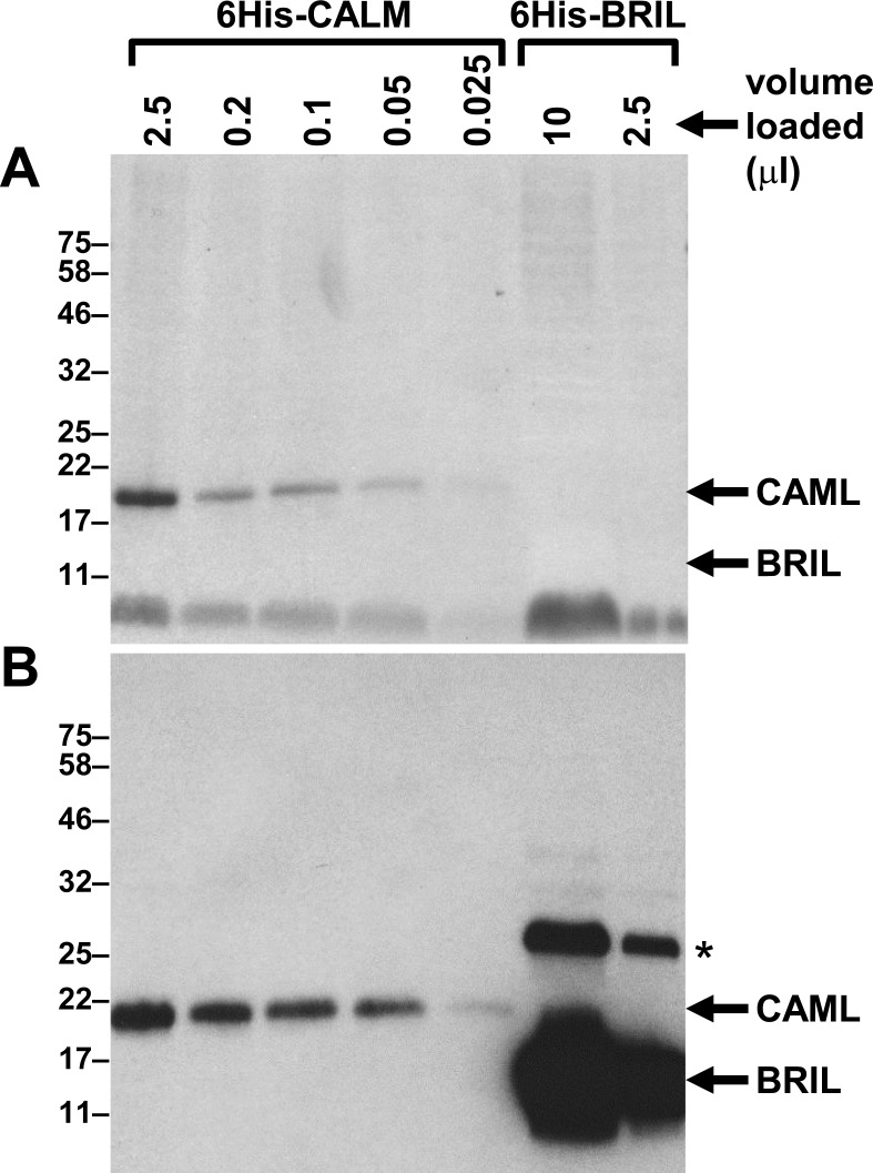 Fig 10