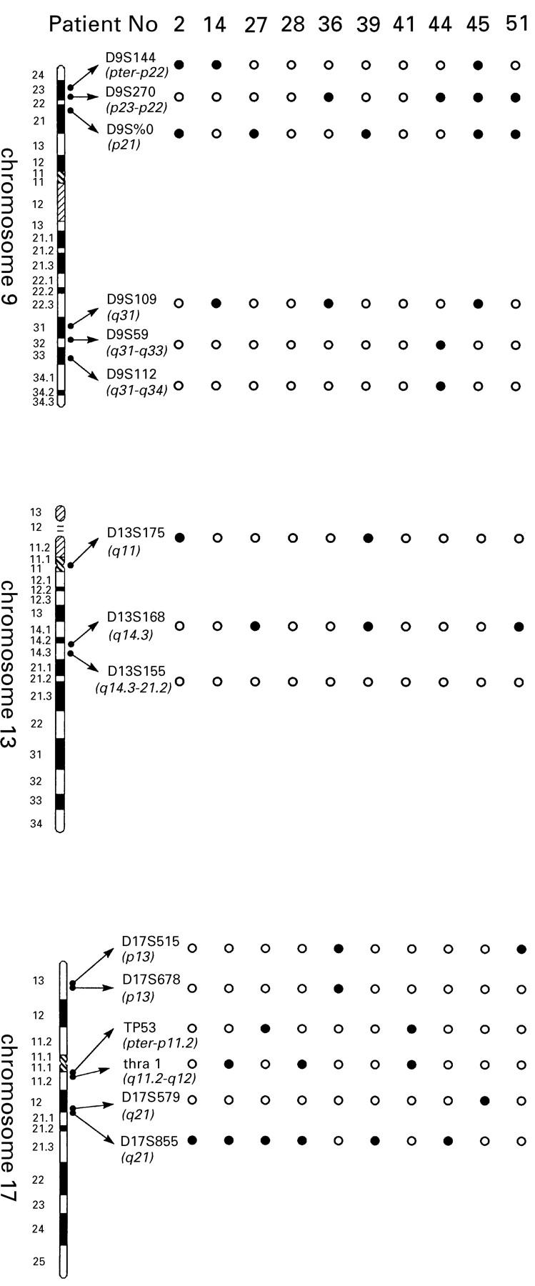 Figure 1  