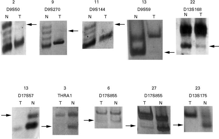 Figure 2  