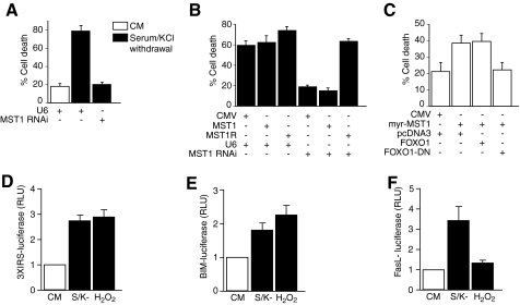 FIGURE 4.