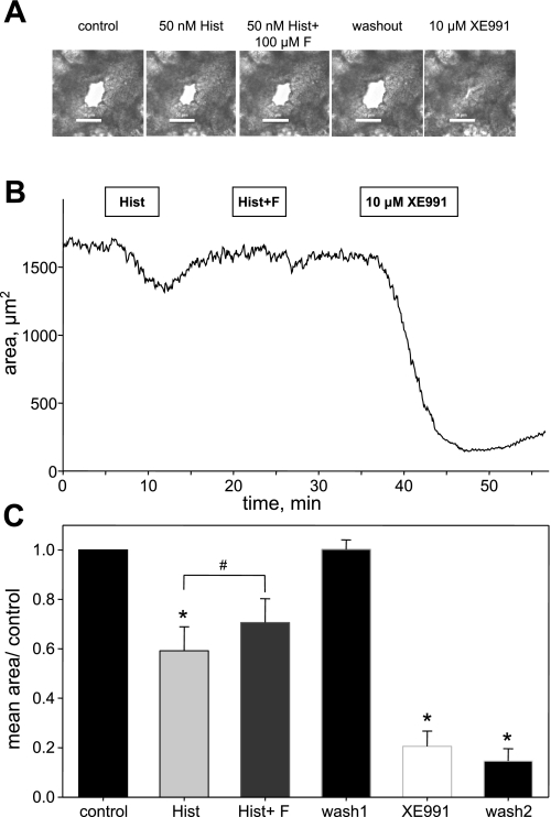 Fig. 9.