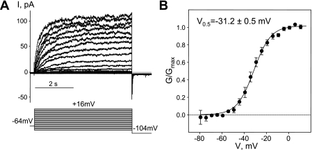 Fig. 4.