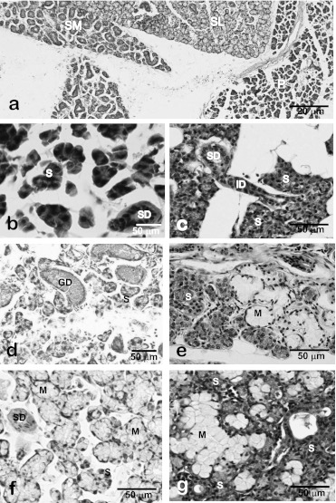 Fig. 5