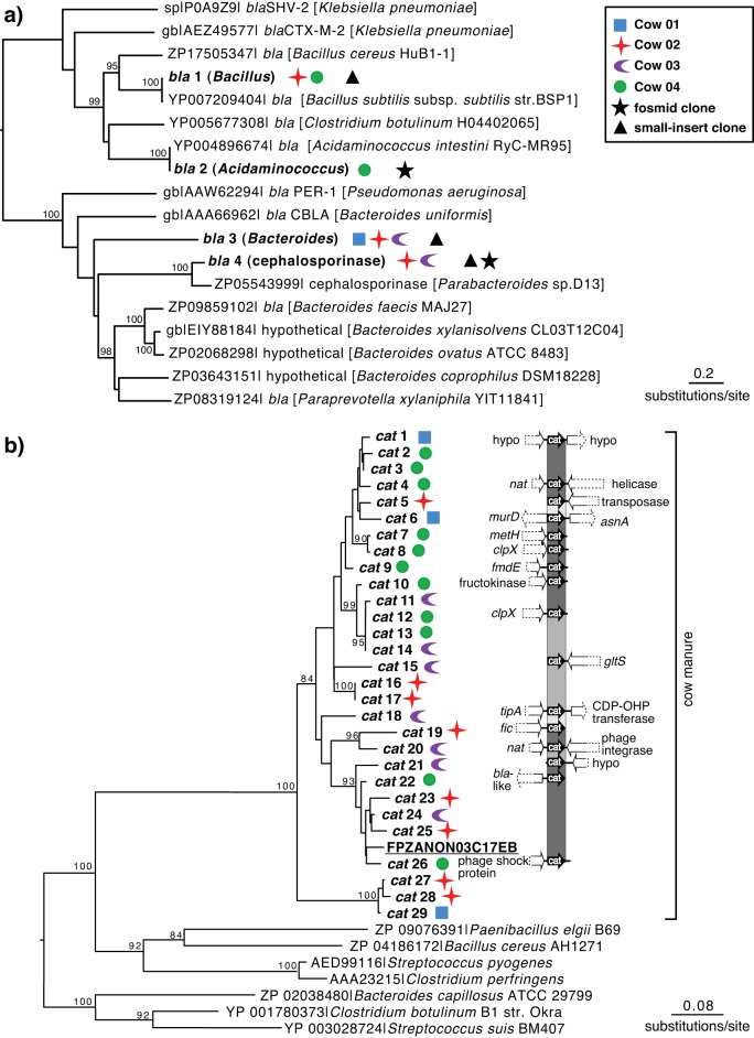 FIG 4 