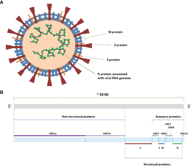 Figure 2