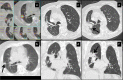 Fig. 8
