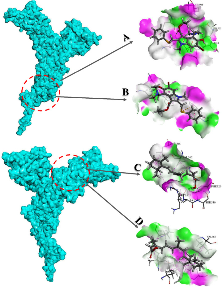 Fig. 19