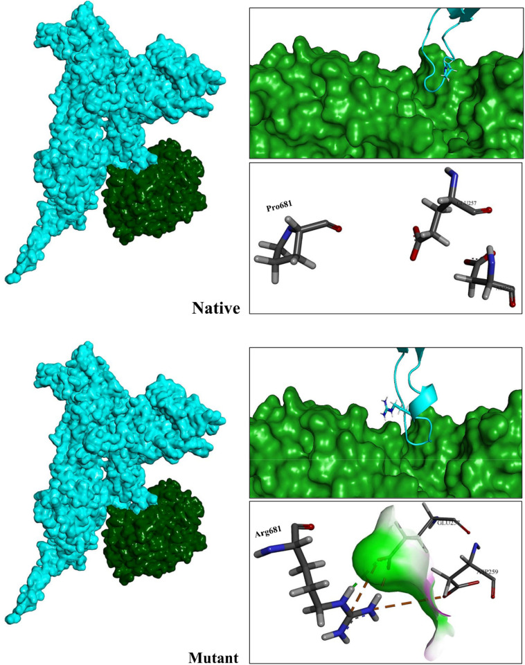 Fig. 13