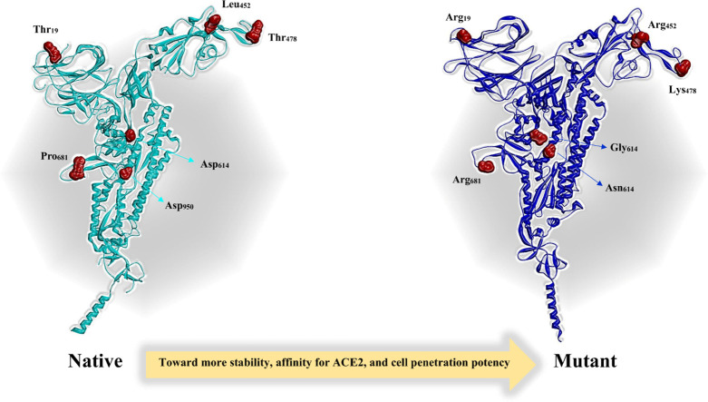 Unlabelled Image