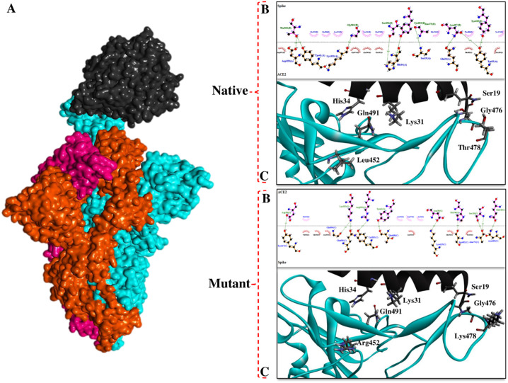 Fig. 10