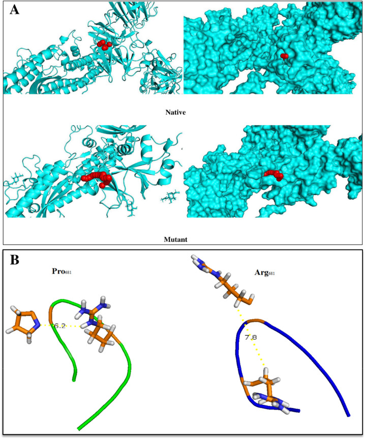 Fig. 12