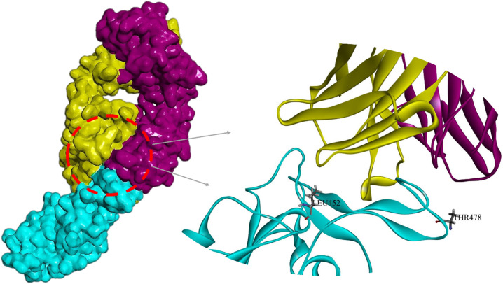 Fig. 18