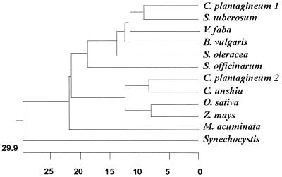 FIG. 3