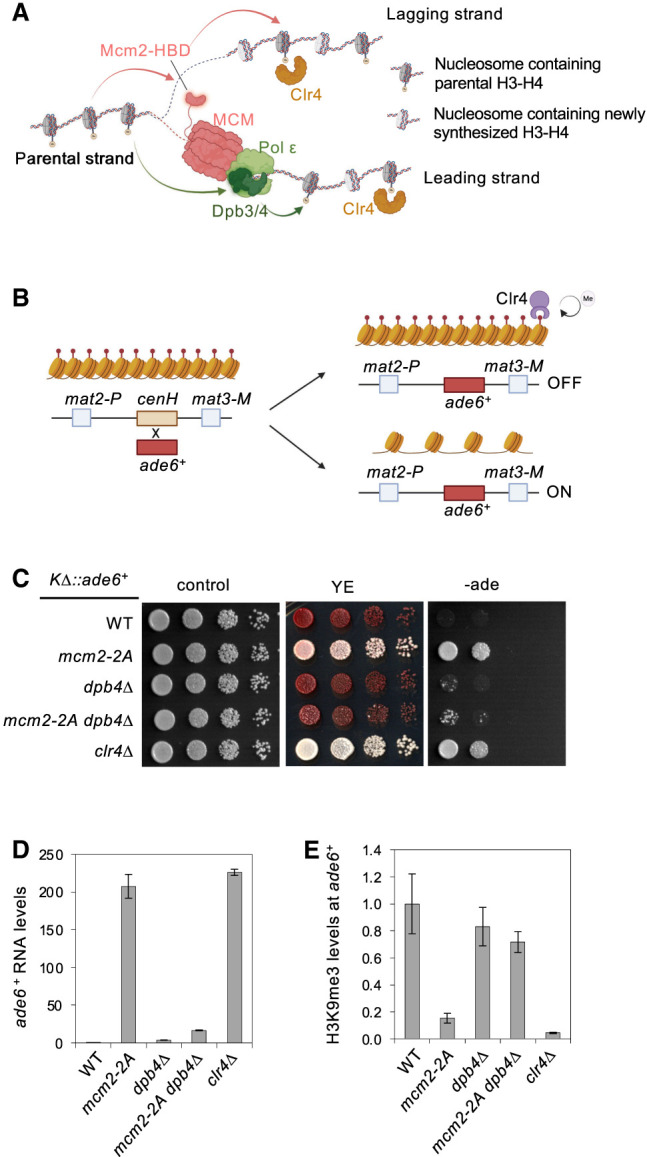 Figure 1.