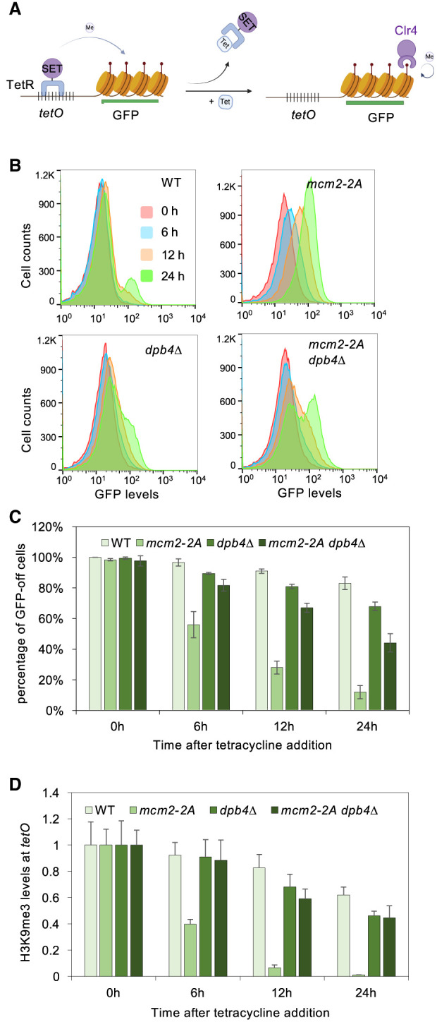 Figure 2.