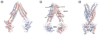Fig. 4