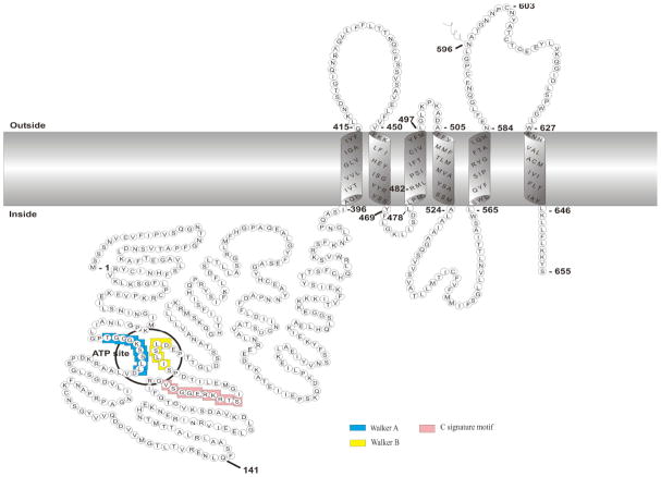 Fig. 3