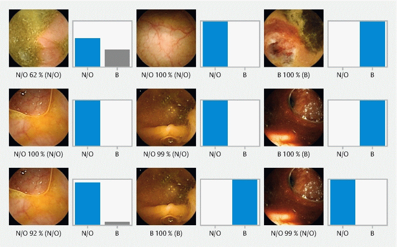 Fig. 2