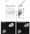 FIG. 8