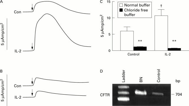 Figure 1  